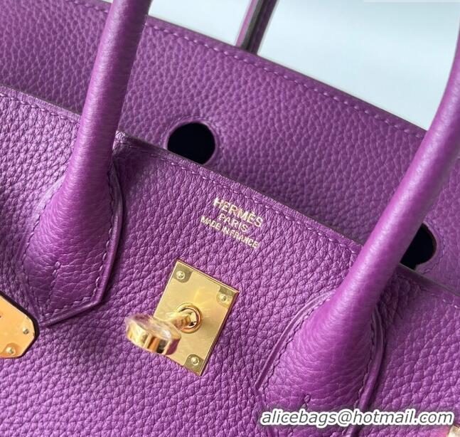 Popular Style Hermes Birkin 25cm Bag in Original Togo Leather HB025 Purple/Gold (Pure Handmade)