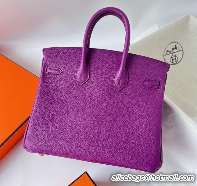 Popular Style Hermes Birkin 25cm Bag in Original Togo Leather HB025 Purple/Gold (Pure Handmade)