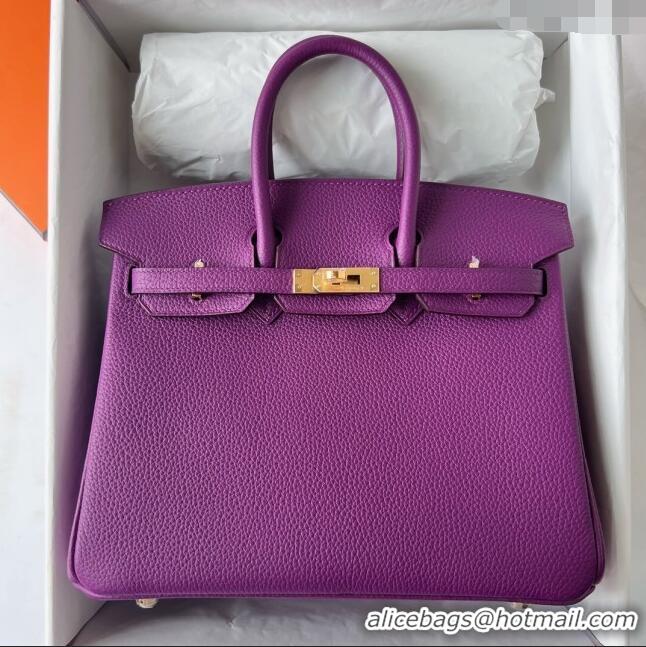 Popular Style Hermes Birkin 25cm Bag in Original Togo Leather HB025 Purple/Gold (Pure Handmade)