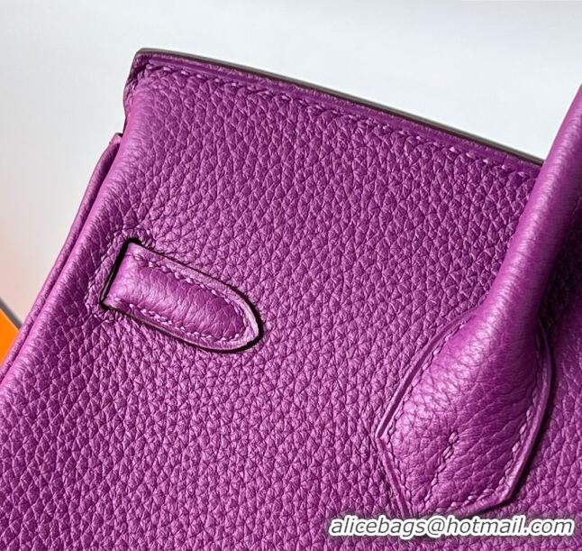 Popular Style Hermes Birkin 25cm Bag in Original Togo Leather HB025 Purple/Gold (Pure Handmade)