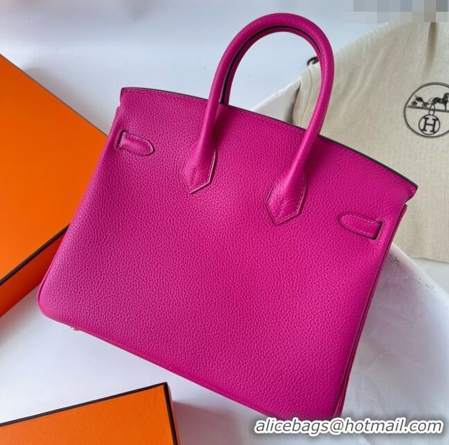 Top Design Hermes Birkin 25cm Bag in Original Togo Leather HB025 Rosy/Silver (Pure Handmade)