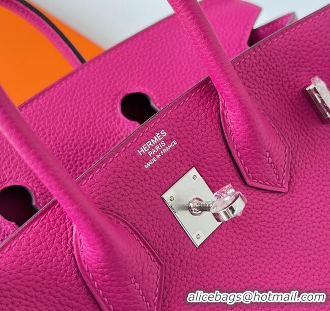 Top Design Hermes Birkin 25cm Bag in Original Togo Leather HB025 Rosy/Silver (Pure Handmade)