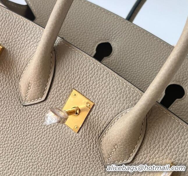 Top Grade Hermes Birkin 25cm Bag in Original Togo Leather Turtledove HB025 Grey/Gold (Pure Handmade)