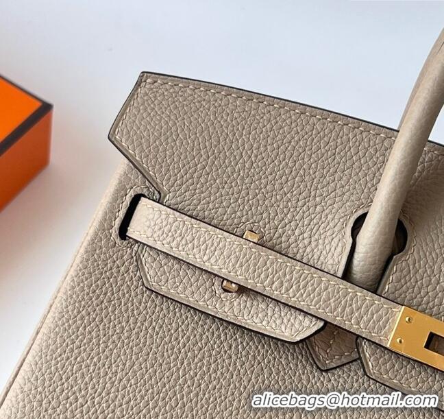 Top Grade Hermes Birkin 25cm Bag in Original Togo Leather Turtledove HB025 Grey/Gold (Pure Handmade)