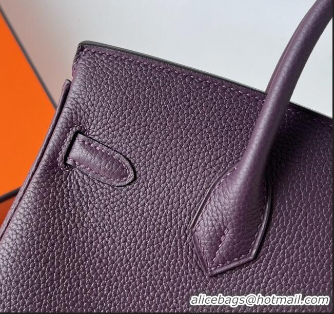 Buy Discount Hermes Birkin 25cm Bag in Original Togo Leather HB025 Deep Purple/Silver (Pure Handmade)