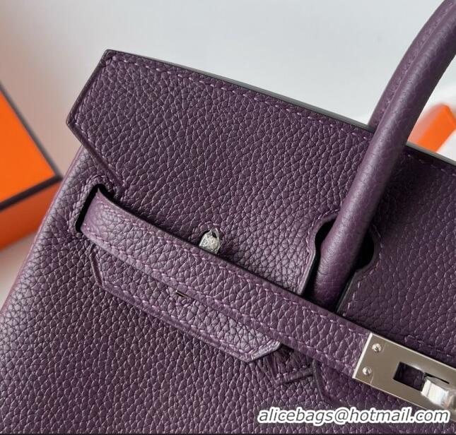 Buy Discount Hermes Birkin 25cm Bag in Original Togo Leather HB025 Deep Purple/Silver (Pure Handmade)