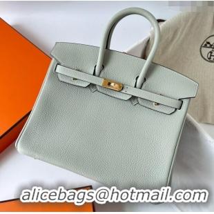 Good Looking Hermes Birkin 25cm Bag in Original Togo Leather HB025 Glacier Grey/Gold (Pure Handmade)