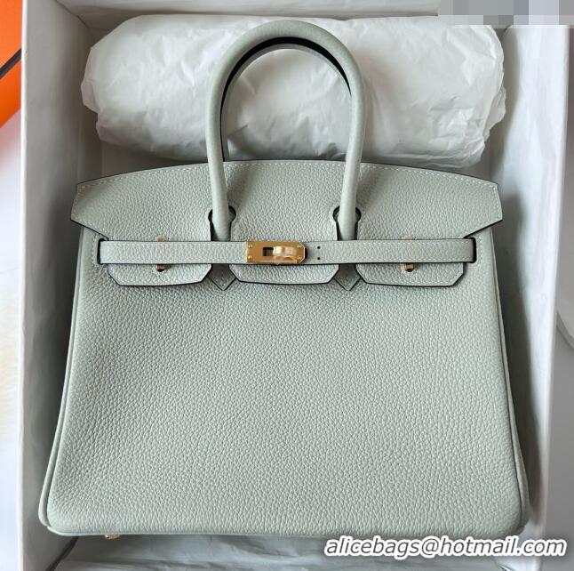 Good Looking Hermes Birkin 25cm Bag in Original Togo Leather HB025 Glacier Grey/Gold (Pure Handmade)