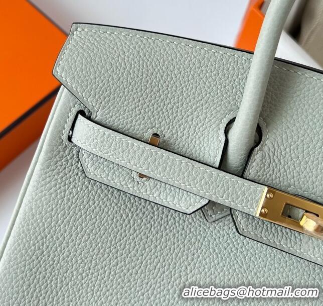 Good Looking Hermes Birkin 25cm Bag in Original Togo Leather HB025 Glacier Grey/Gold (Pure Handmade)