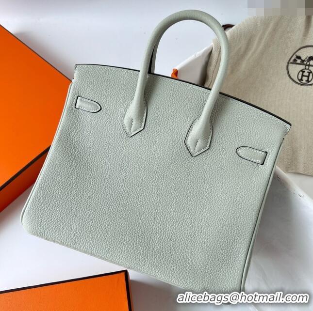 Good Looking Hermes Birkin 25cm Bag in Original Togo Leather HB025 Glacier Grey/Gold (Pure Handmade)