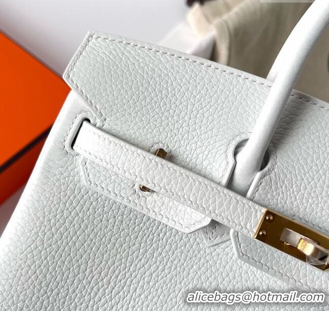 Reasonable Price Hermes Birkin 25cm Bag in Original Togo Leather HB025 Pure White/Gold (Pure Handmade) 