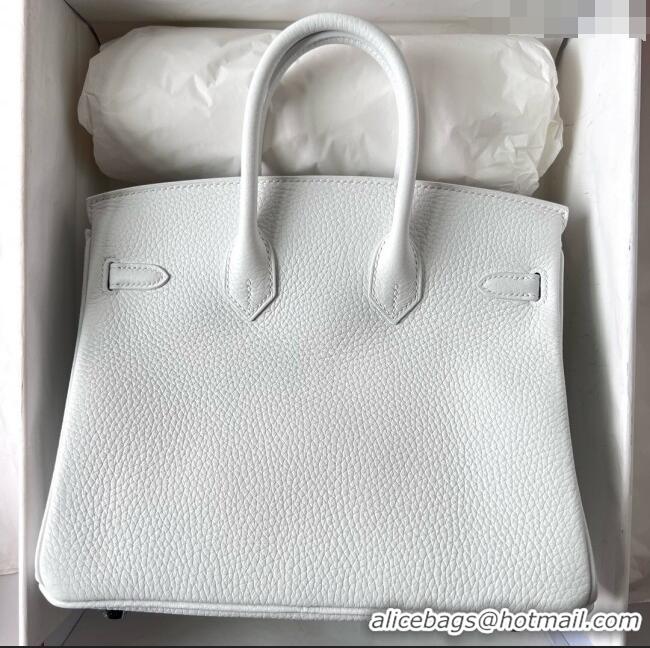 Affordable Price Hermes Birkin 25cm Bag in Original Togo Leather HB025 Pure White/Silver (Pure Handmade)