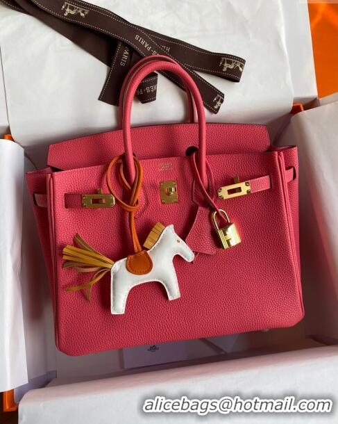 Classic Specials Hermes Birkin 25cm Bag in Original Togo Leather HB025 Lipstick Pink/Gold (Pure Handmade)