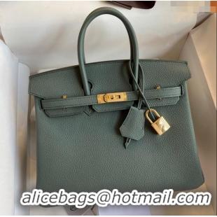 Most Popular Hermes Birkin 25cm Bag in Original Togo Leather HB025 Almond Green/Gold (Pure Handmade)