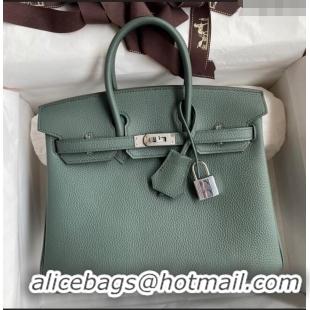 Top Grade Hermes Birkin 25cm Bag in Original Togo Leather HB025 Almond Green/Silver (Pure Handmade)