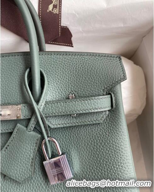 Top Grade Hermes Birkin 25cm Bag in Original Togo Leather HB025 Almond Green/Silver (Pure Handmade)