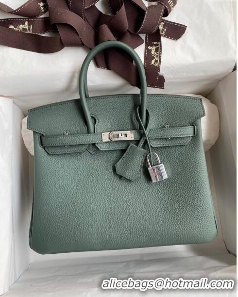 Top Grade Hermes Birkin 25cm Bag in Original Togo Leather HB025 Almond Green/Silver (Pure Handmade)