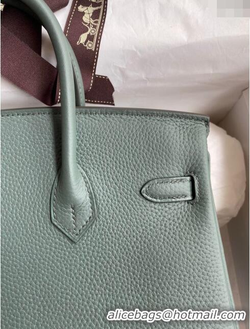 Top Grade Hermes Birkin 25cm Bag in Original Togo Leather HB025 Almond Green/Silver (Pure Handmade)