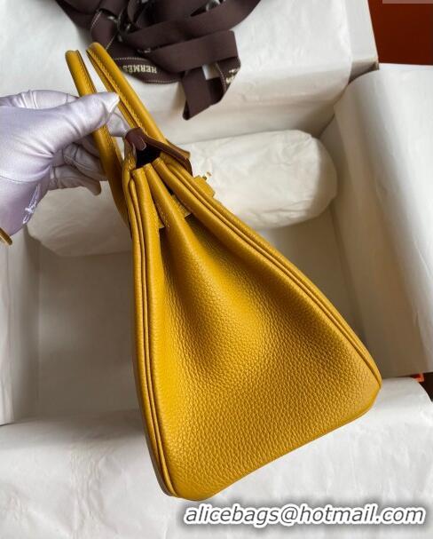 Luxury Cheap Hermes Birkin 25cm Bag in Original Togo Leather HB025 Yellow/Gold (Pure Handmade)