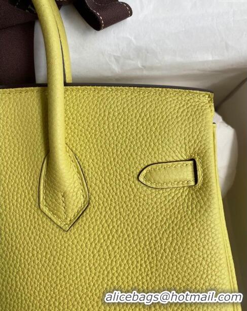 Well Crafted Hermes Birkin 25cm Bag in Original Togo Leather HB025 Light Yellow/Silver (Pure Handmade)