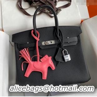 Best Product Hermes Birkin 25cm Bag in Original Togo Leather HB025 Black/Silver (Pure Handmade)