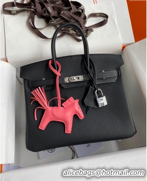 Best Product Hermes Birkin 25cm Bag in Original Togo Leather HB025 Black/Silver (Pure Handmade)