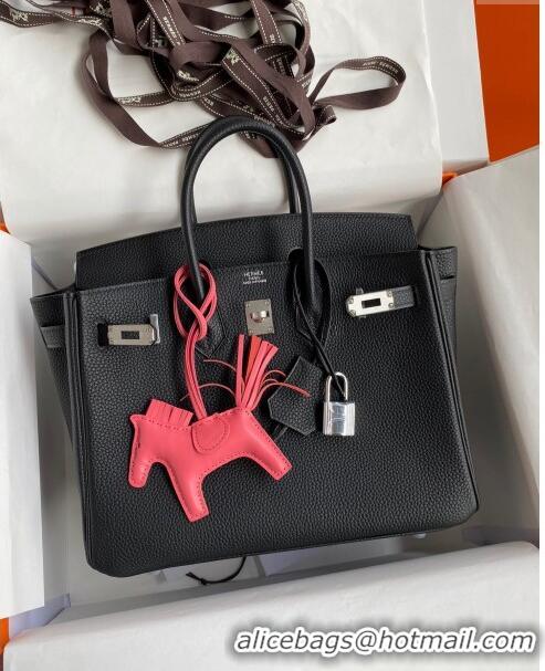 Best Product Hermes Birkin 25cm Bag in Original Togo Leather HB025 Black/Silver (Pure Handmade)