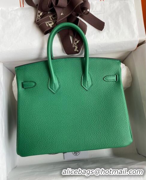 Pretty Style Hermes Birkin 25cm Bag in Original Togo Leather HB025 Bamboo Green/Silver (Pure Handmade)