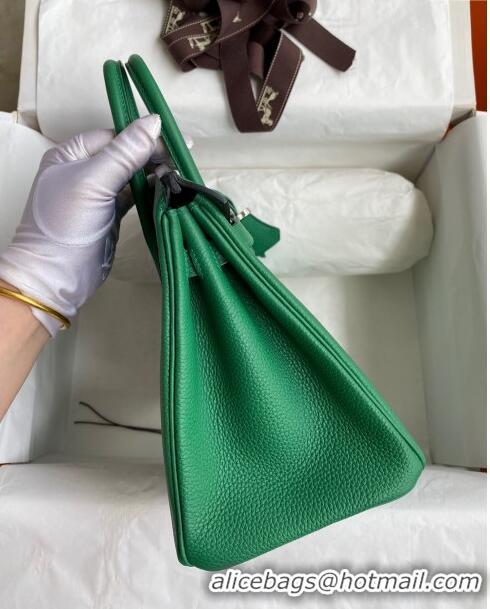 Pretty Style Hermes Birkin 25cm Bag in Original Togo Leather HB025 Bamboo Green/Silver (Pure Handmade)