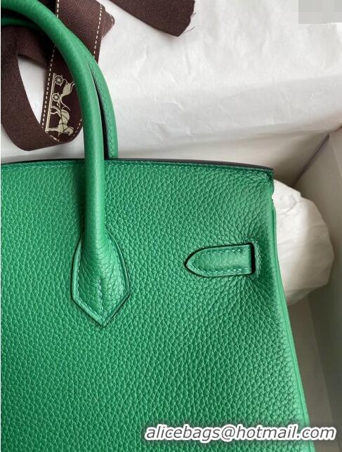 Pretty Style Hermes Birkin 25cm Bag in Original Togo Leather HB025 Bamboo Green/Silver (Pure Handmade)