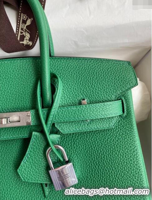 Pretty Style Hermes Birkin 25cm Bag in Original Togo Leather HB025 Bamboo Green/Silver (Pure Handmade)