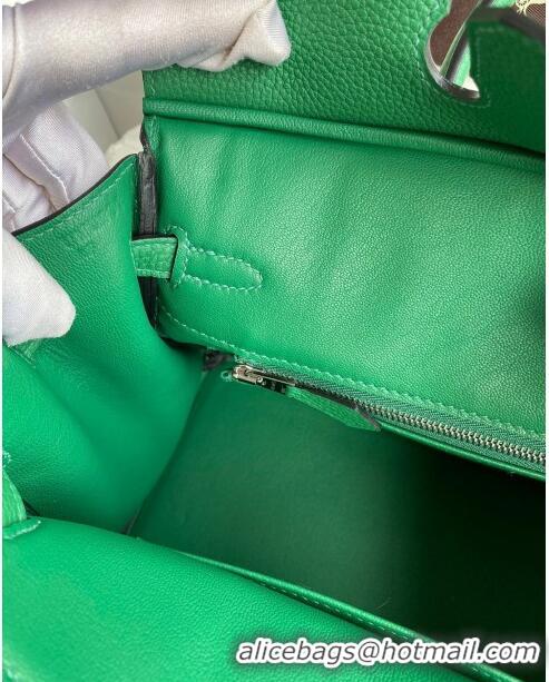 Pretty Style Hermes Birkin 25cm Bag in Original Togo Leather HB025 Bamboo Green/Silver (Pure Handmade)