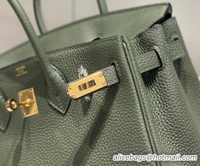 Unique Grade Hermes Birkin 25cm Bag in Togo Leather 1227 Fruit Green 2023