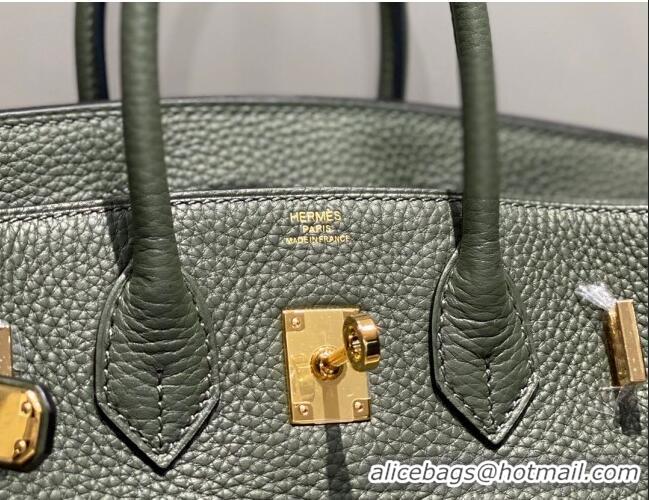 Unique Grade Hermes Birkin 25cm Bag in Togo Leather 1227 Fruit Green 2023