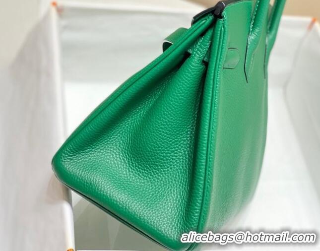 Buy Discount Hermes Birkin 25cm Bag in Togo Leather 1227 Emerald Green