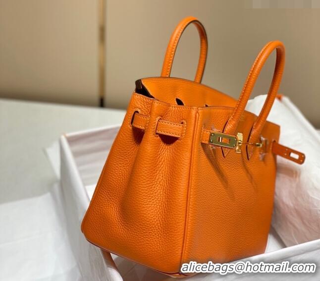 Classic Design Hermes Birkin 25cm Bag in Togo Leather 1227 Orange