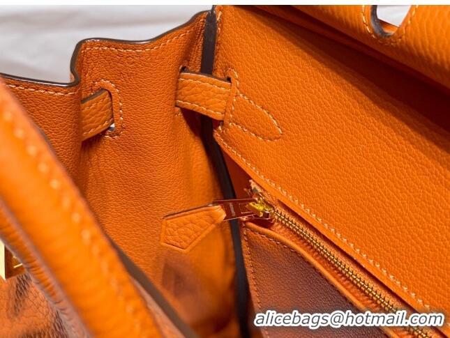 Classic Design Hermes Birkin 25cm Bag in Togo Leather 1227 Orange