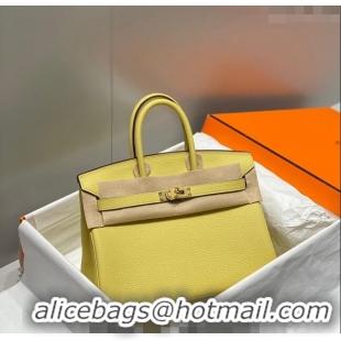 Grade Discount Hermes Birkin 25cm Bag in Togo Leather 1227 Chick Yellow 2023