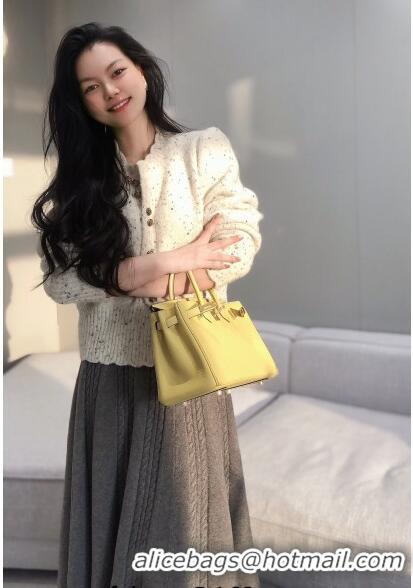 Grade Discount Hermes Birkin 25cm Bag in Togo Leather 1227 Chick Yellow 2023