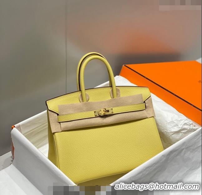 Grade Discount Hermes Birkin 25cm Bag in Togo Leather 1227 Chick Yellow 2023