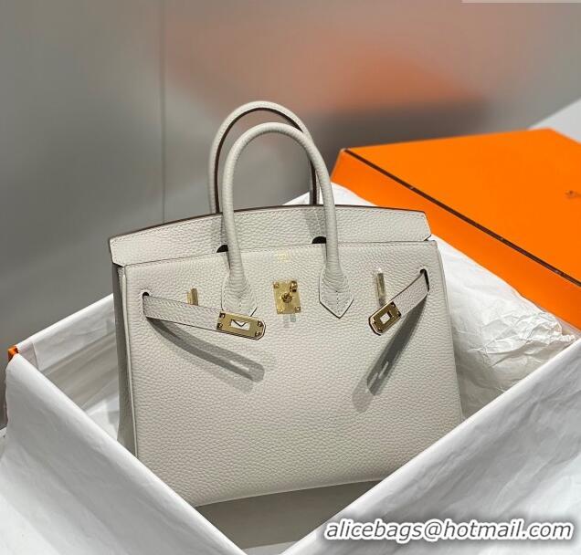 Good Product Hermes Birkin 25cm Bag in Togo Leather 1227 Pearl Grey