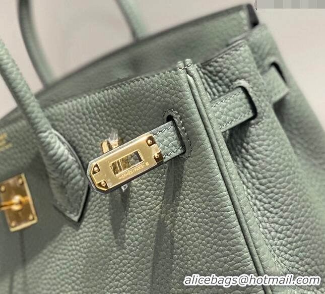 New Fashion Hermes Birkin 25cm Bag in Togo Leather 1227 Almond Green