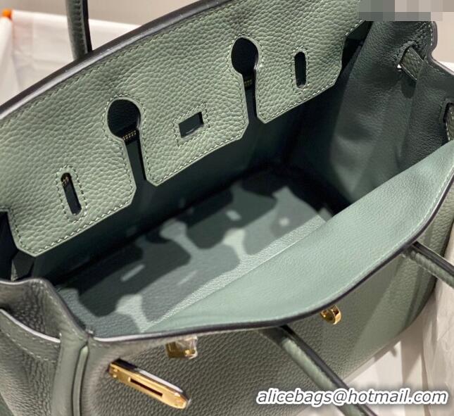 New Fashion Hermes Birkin 25cm Bag in Togo Leather 1227 Almond Green