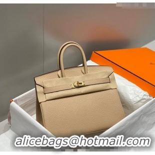 Most Popular Hermes Birkin 25cm Bag in Togo Leather 1227 Coat Beige