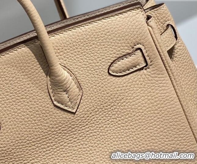 Most Popular Hermes Birkin 25cm Bag in Togo Leather 1227 Coat Beige