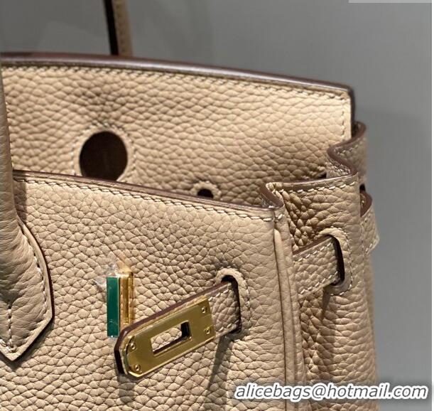 Most Popular Hermes Birkin 25cm Bag in Togo Leather 1227 Coat Beige