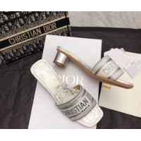 Most Popular Dior Dway Heel Slide Sandals 3.5cm in Silver-Tone Embroidered Cotton 326014