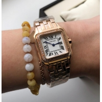 Luxurious Grade Cartier 18K PanthEre de Dial 27mm WJPN0009 Rose Gold