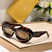 Famous Brand Loewe Sunglasses LW40119I Brown 2024