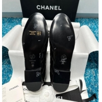 Classic Hot Chanel Classic Quilted Shiny Calfskin Ballet Flat Black 325018